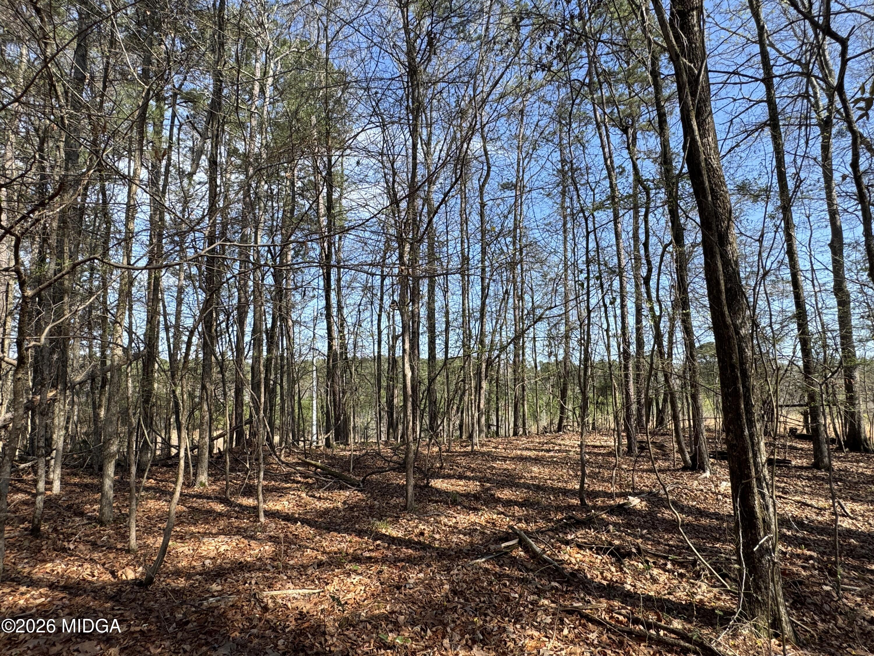 1978 Wood Valley Road