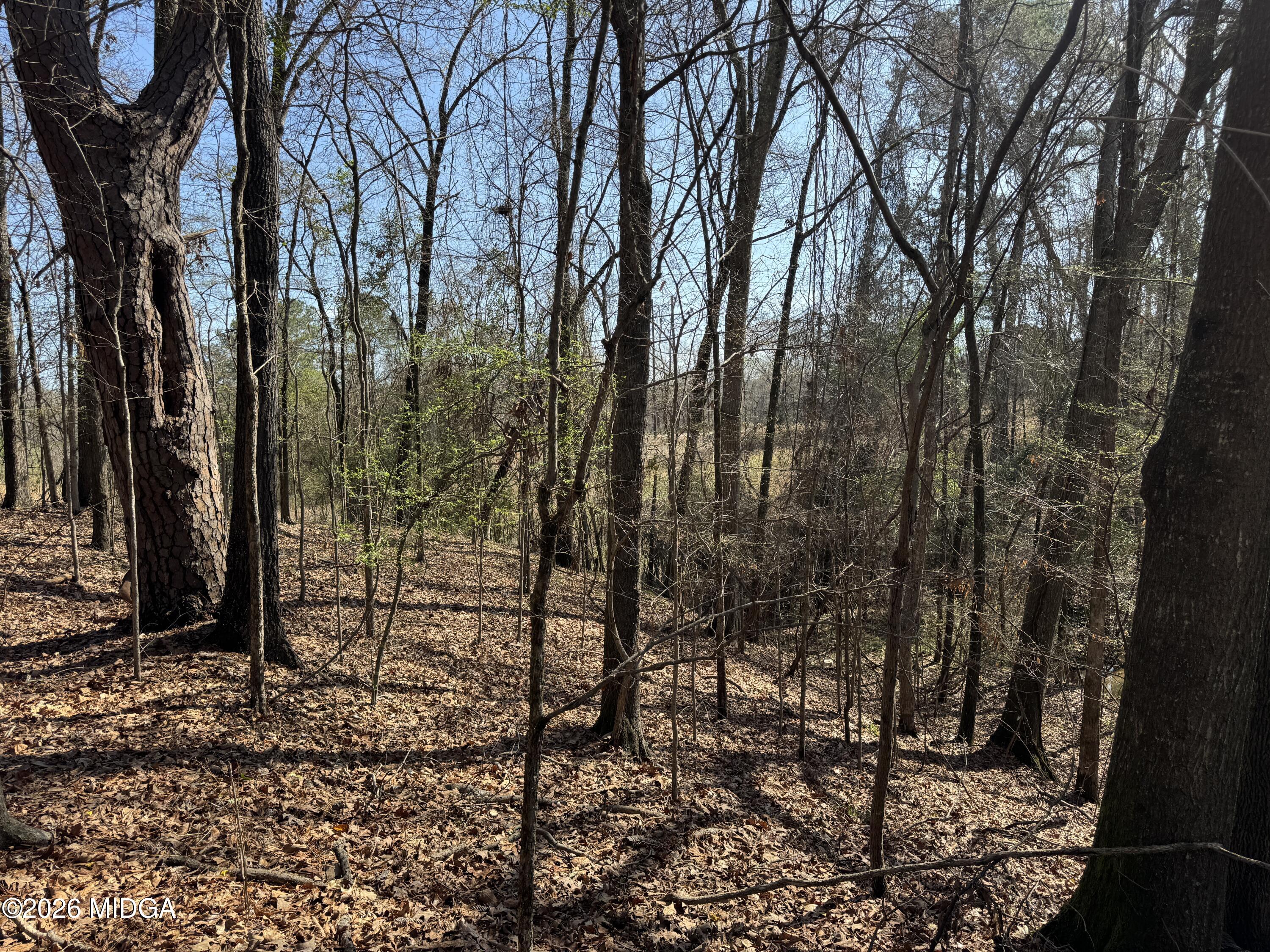 1978 Wood Valley Road