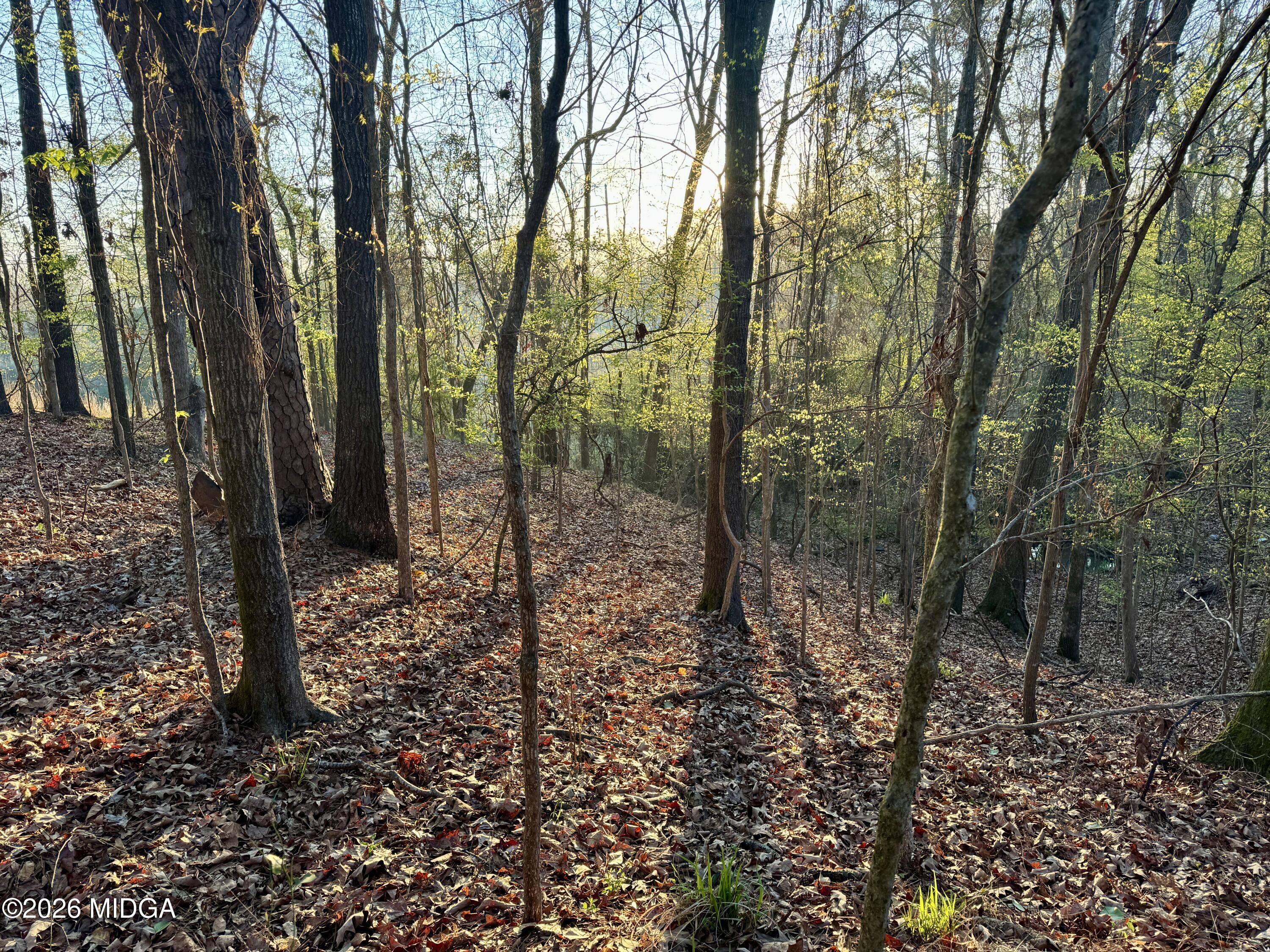 1978 Wood Valley Road