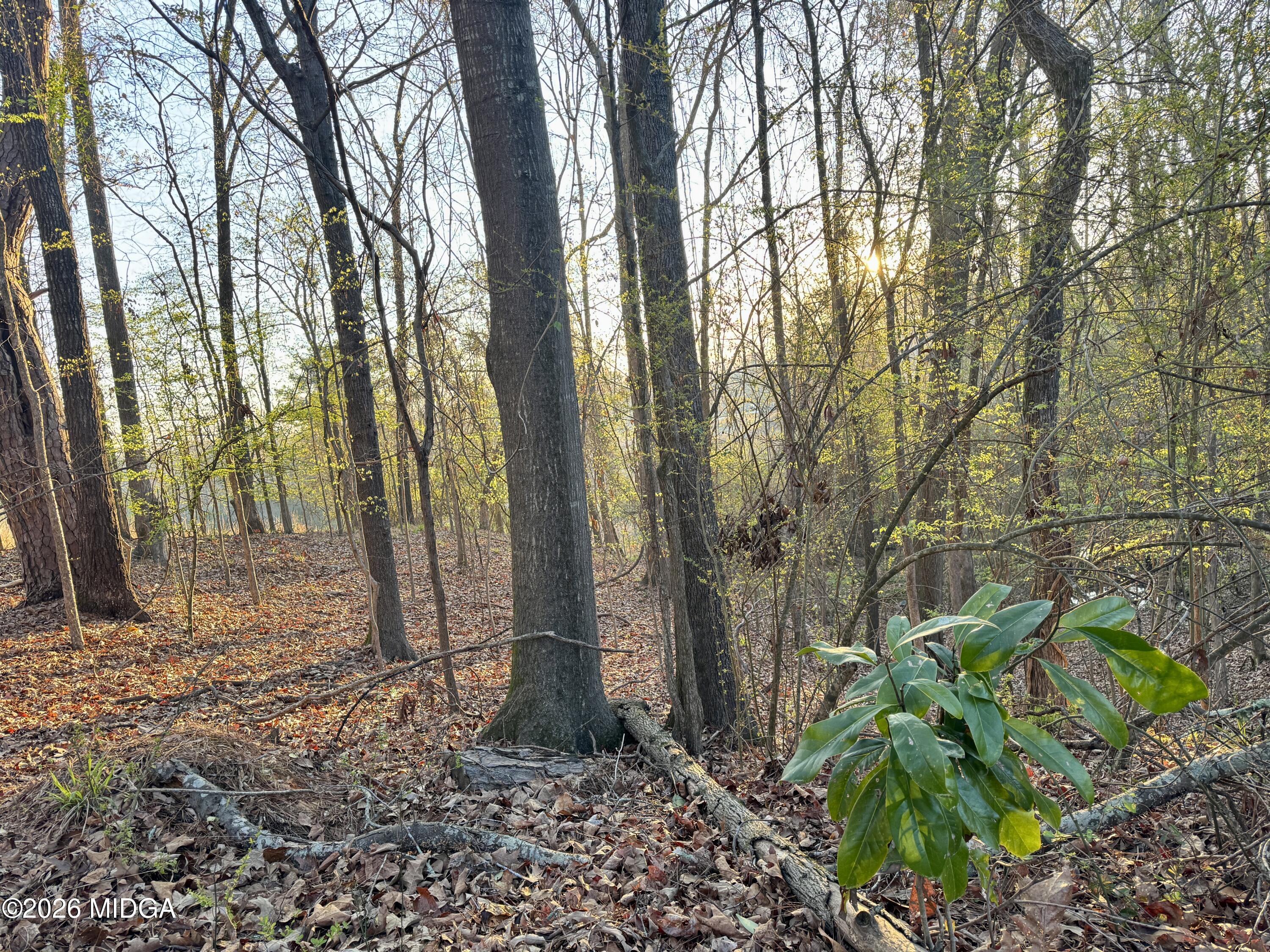 1978 Wood Valley Road