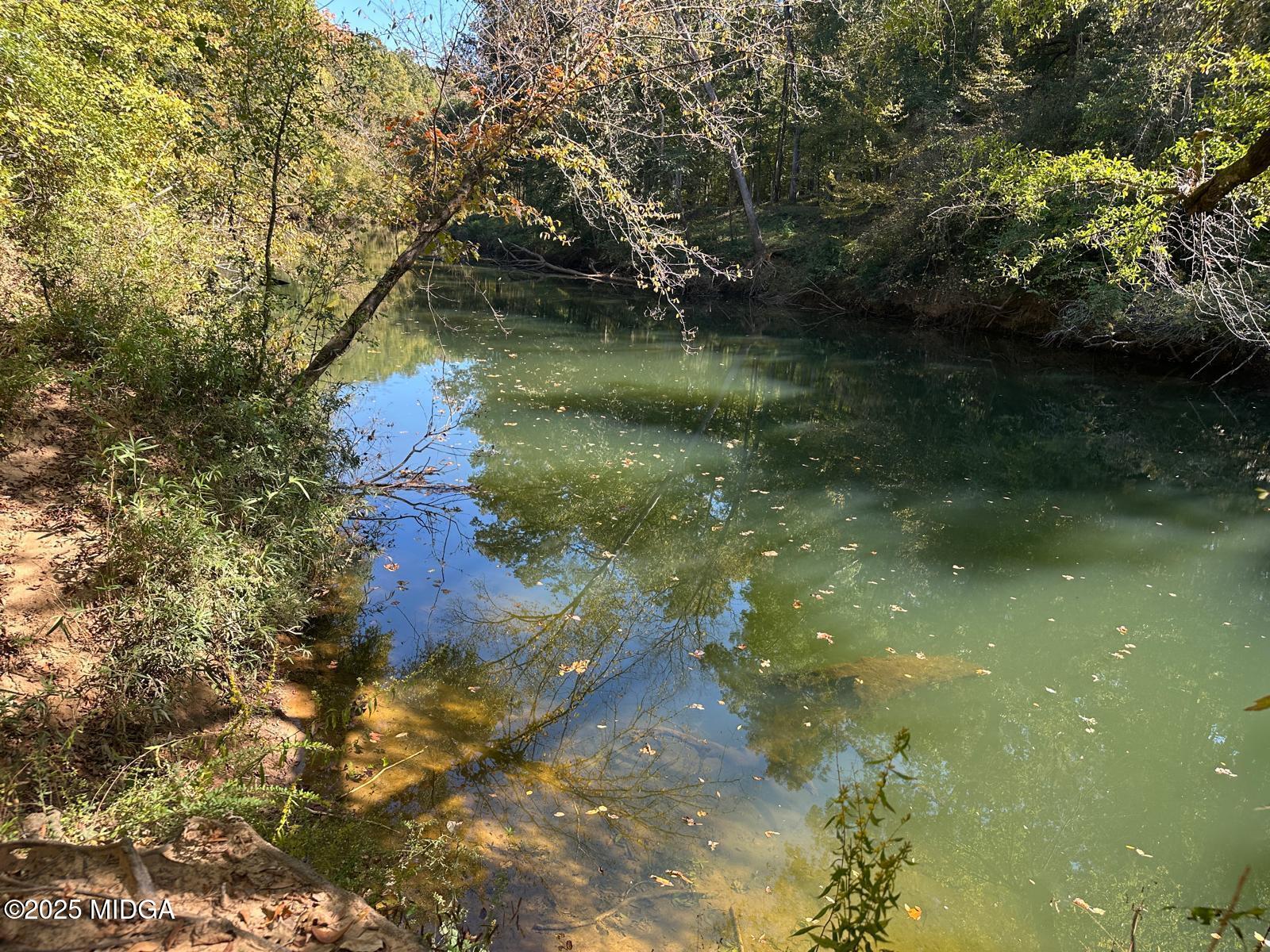 401 Towaliga Trail