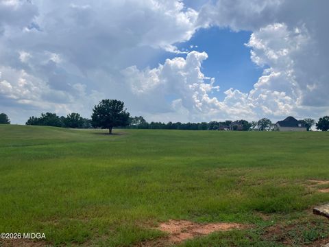 lot 44 Crabapple Dr. Drive Hawkinsville GA 31036