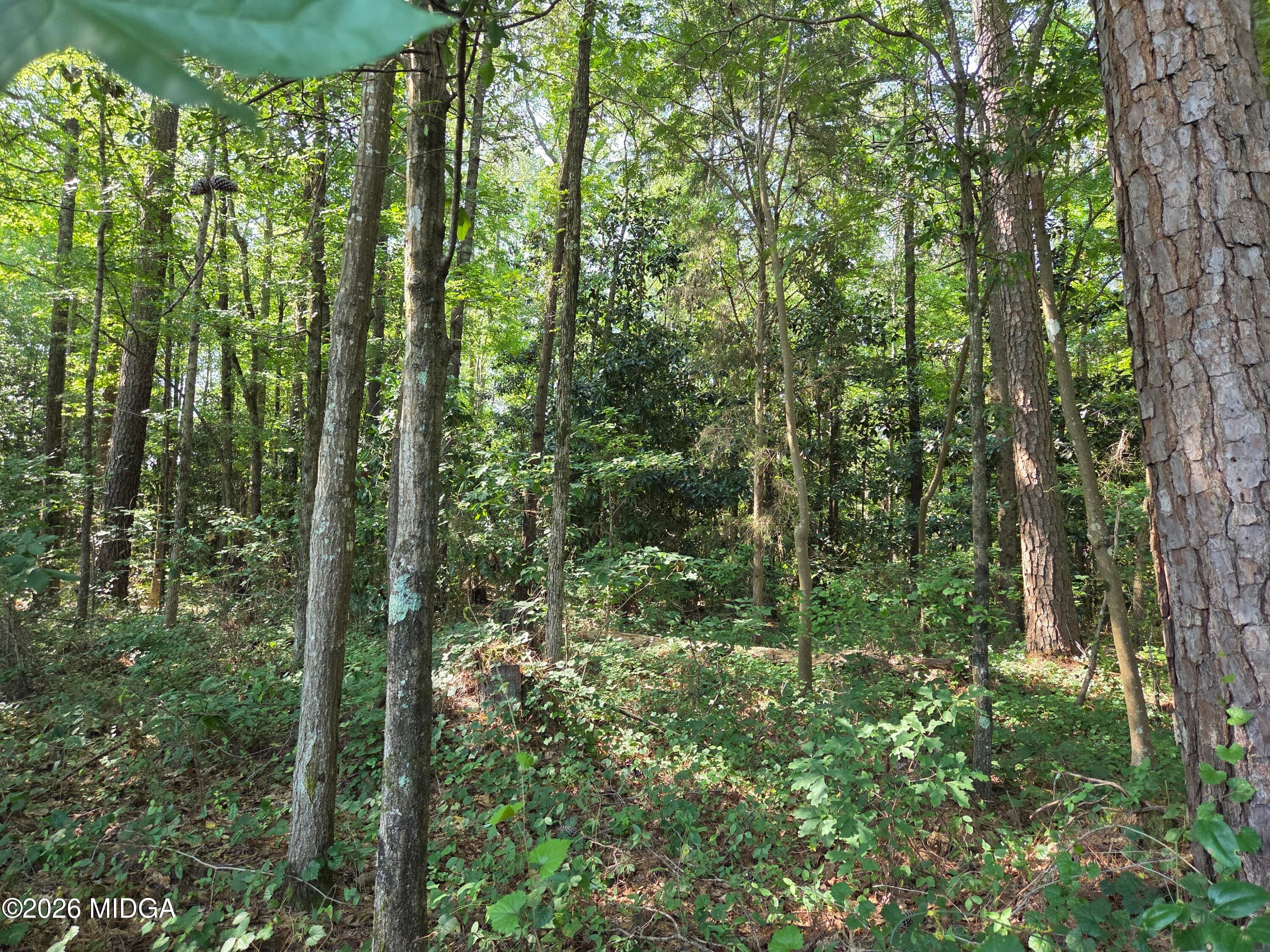 2110 Forest Hill Road