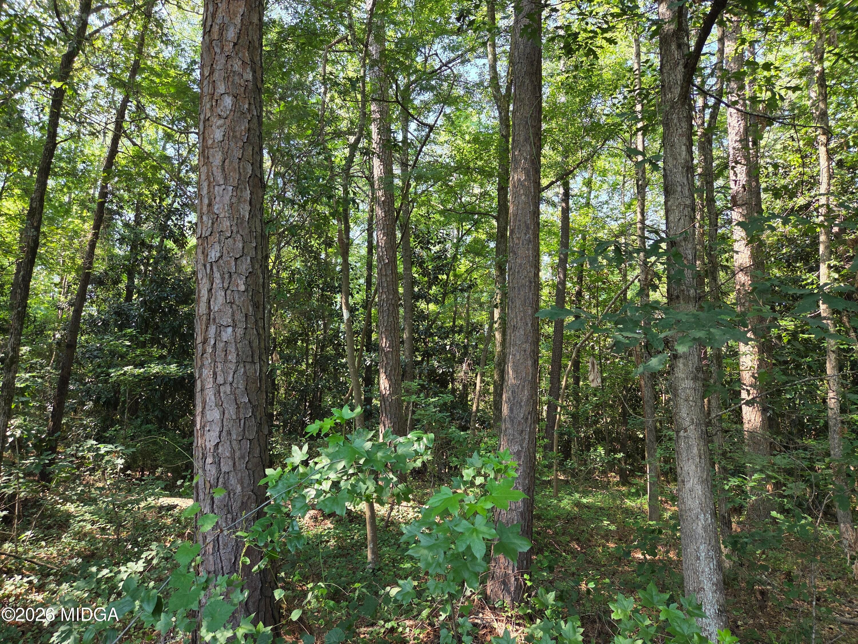 2110 Forest Hill Road