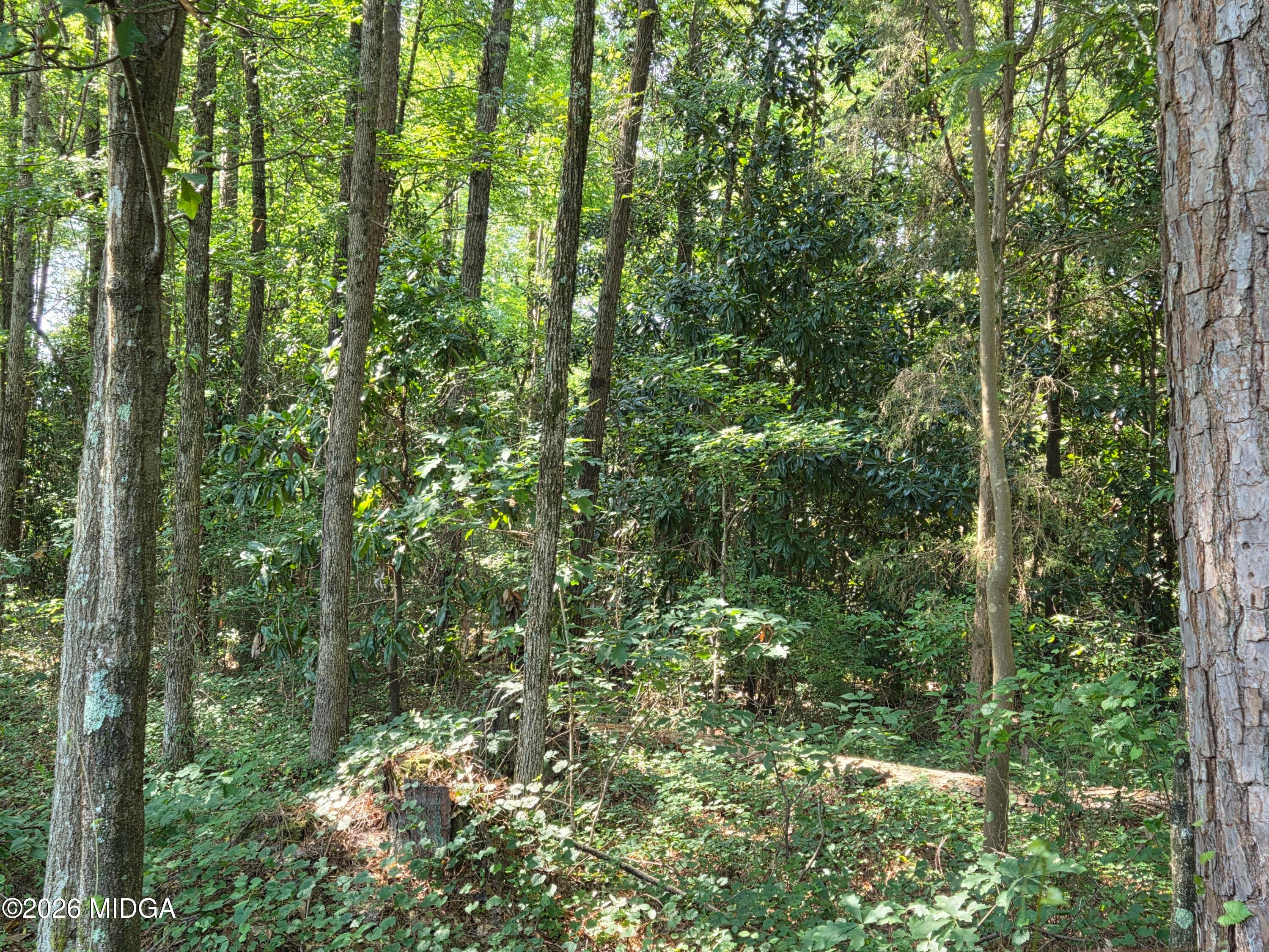 2110 Forest Hill Road