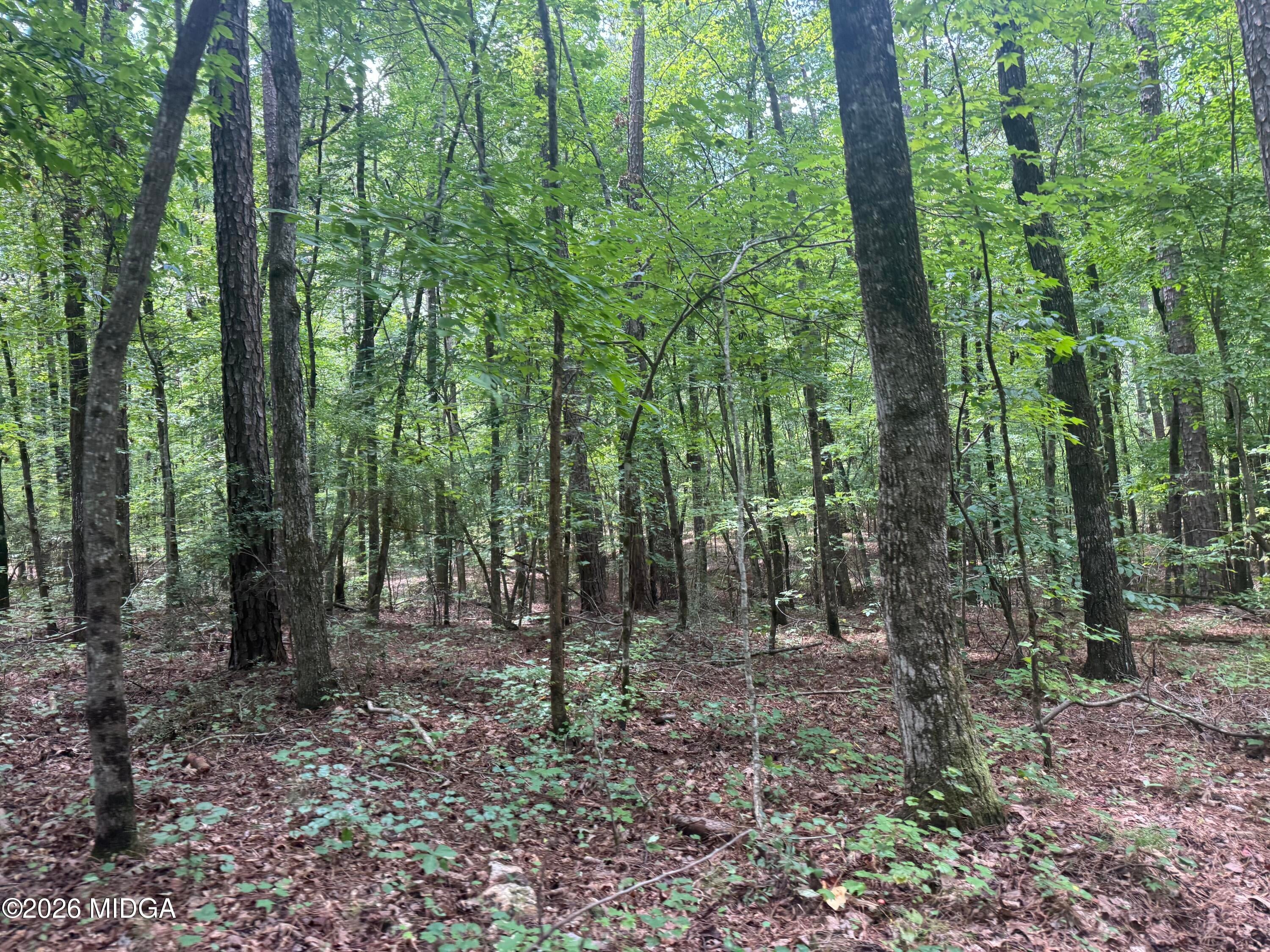 2996 Stokes Store Road
