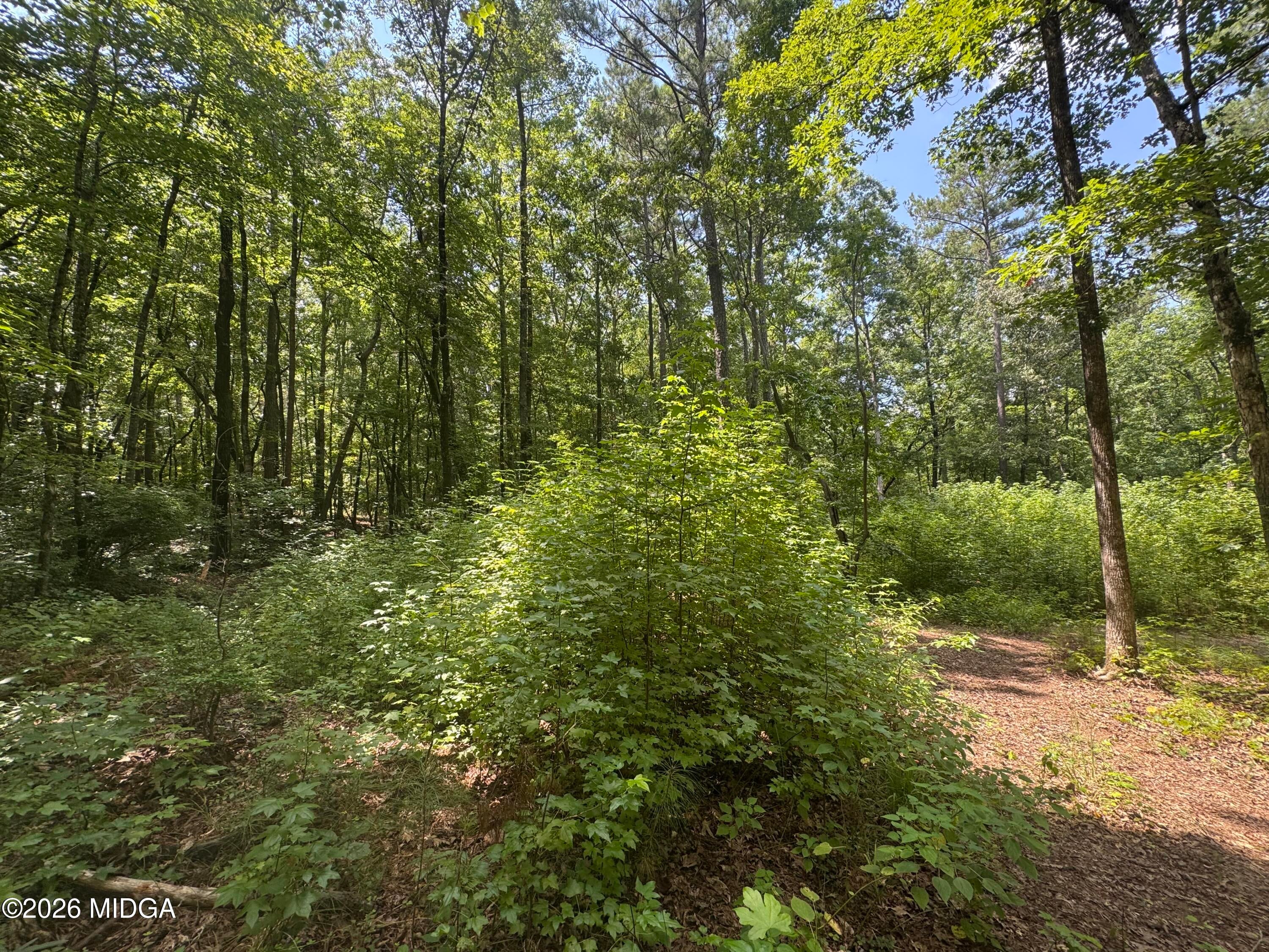 2996 Stokes Store Road