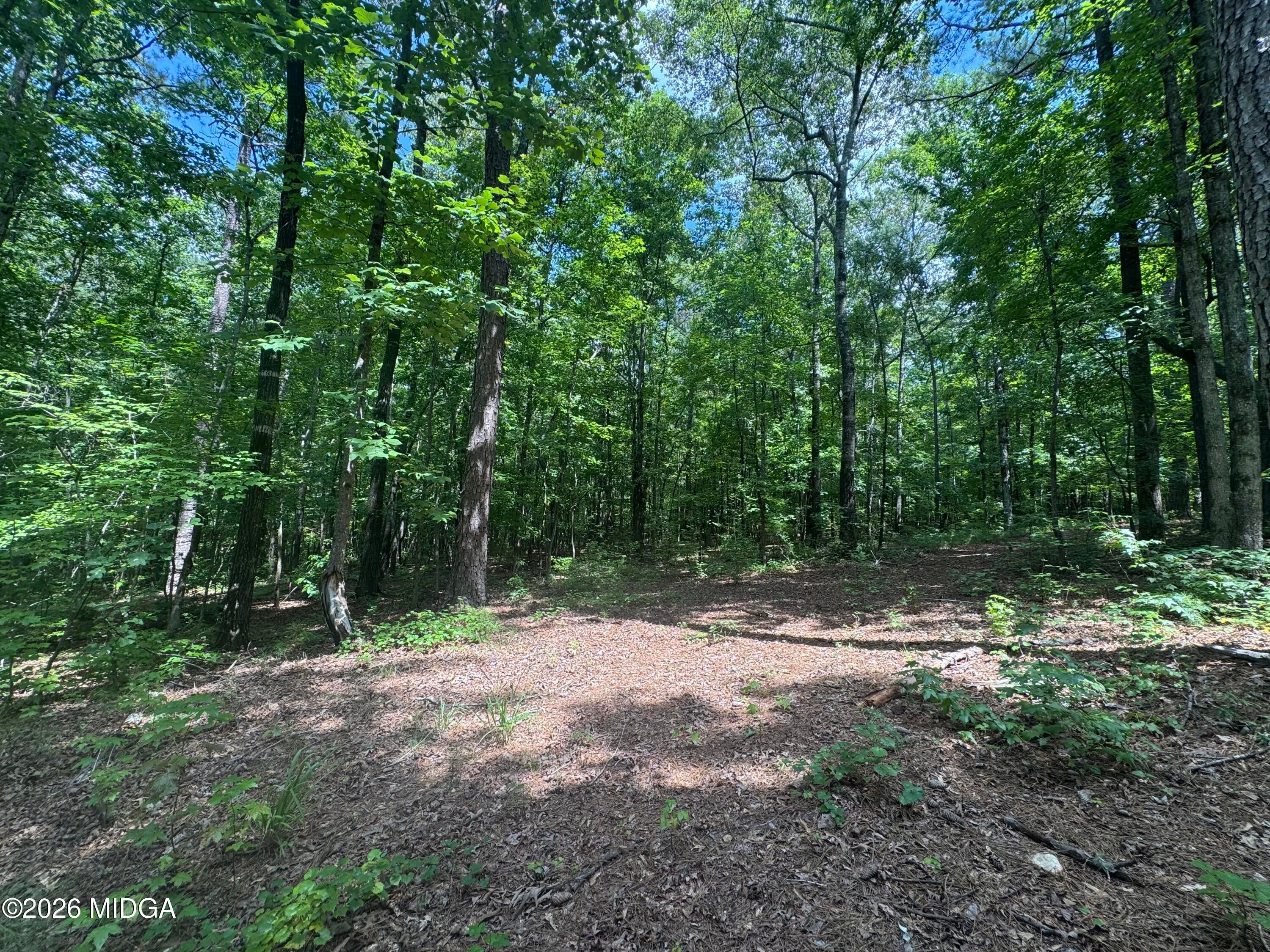 2996 Stokes Store Road
