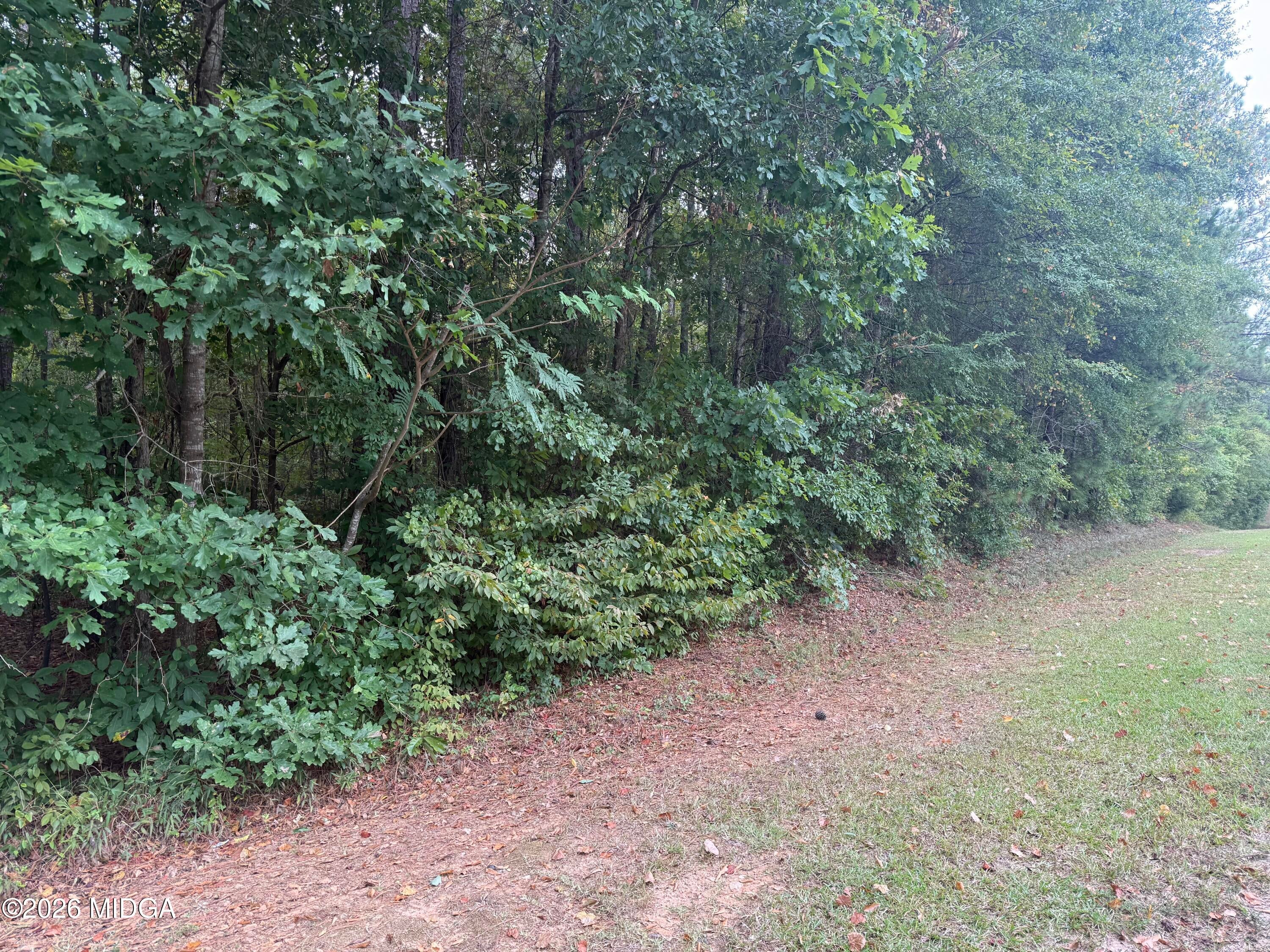 8921 Thomaston Road