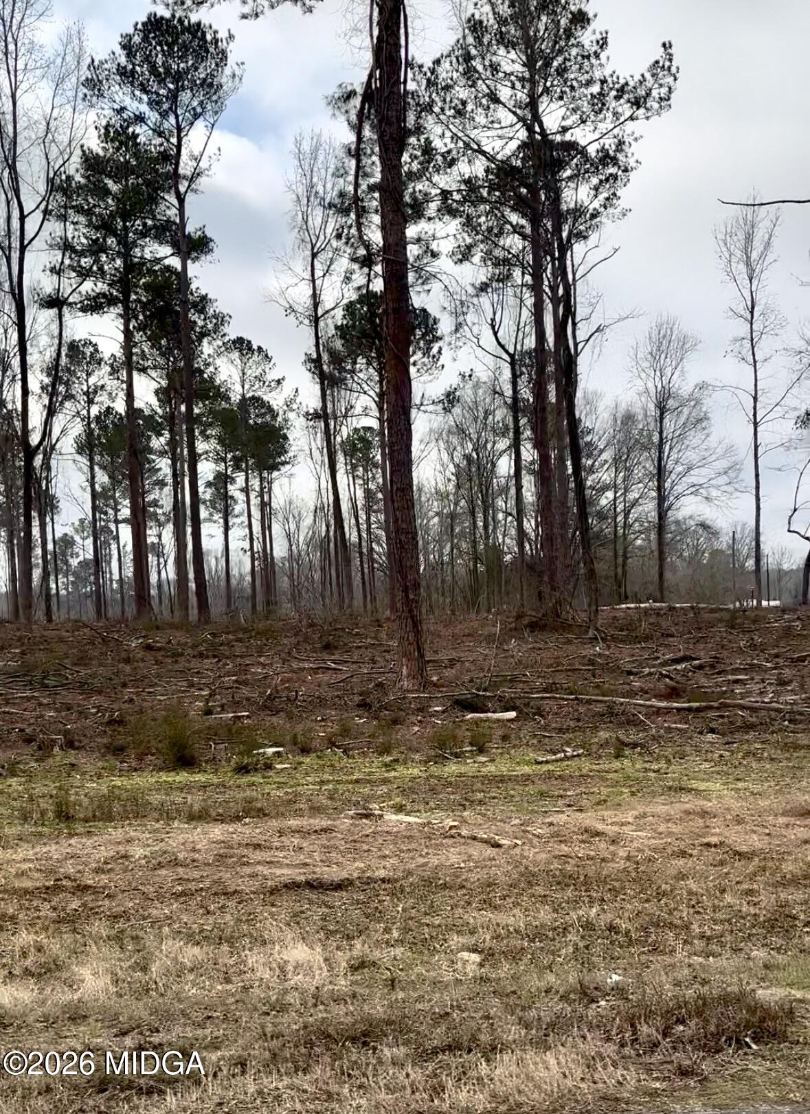 8290 Lower Thomaston Road