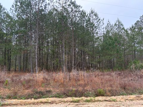 2924 Phelps Drive Lizella GA 31052