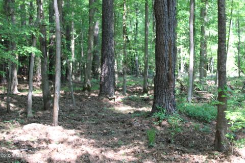 000 Hwy 87 TRACT 3 Forsyth GA 31029