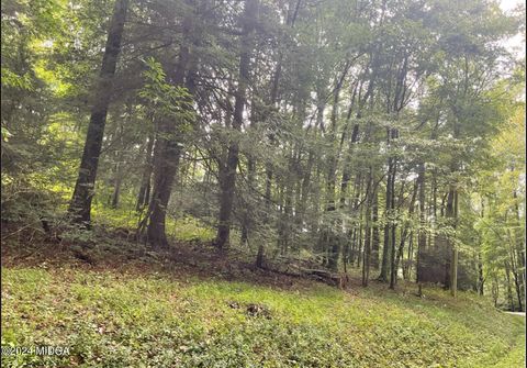 140 Chickasaw Drive Ivey GA 31031