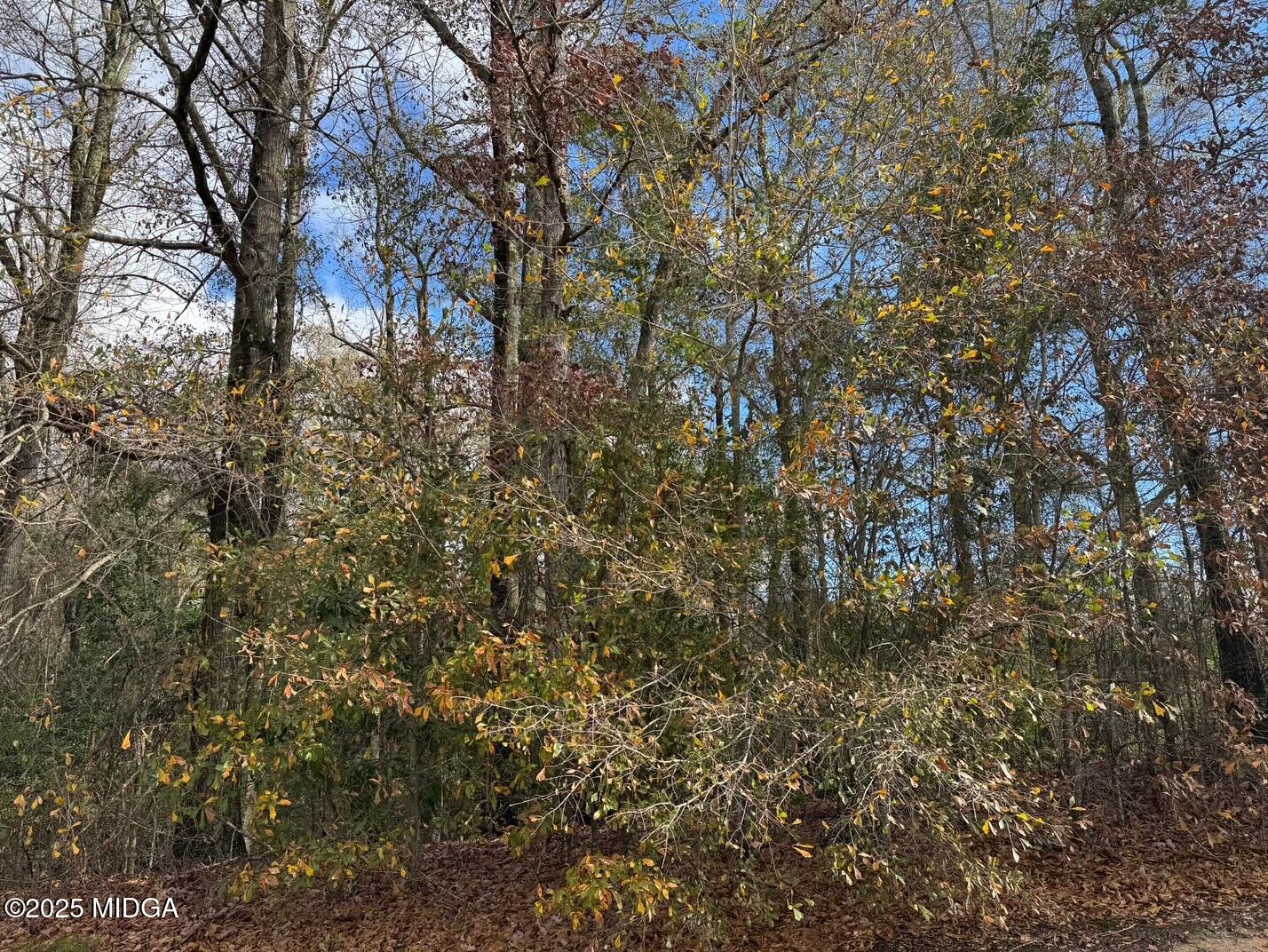 109 Oakview Club Drive