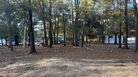 34 Hall Road Hawkinsville GA 31036