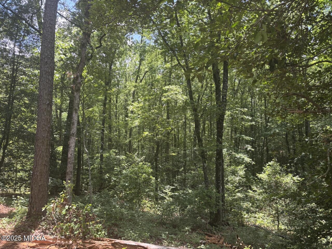 5301 Mount Pleasant Church rd Road