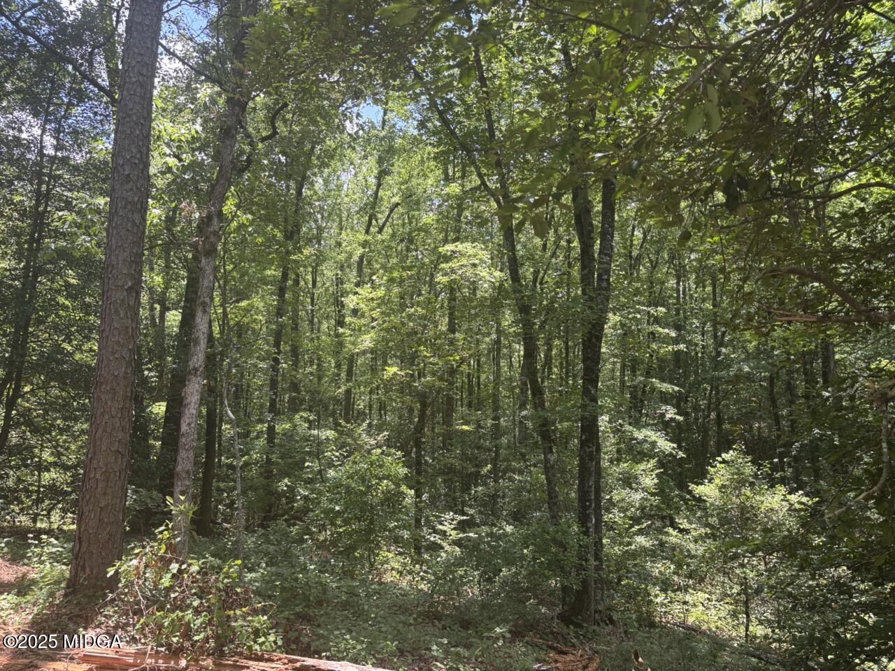 5301 Mount Pleasant Church rd Road