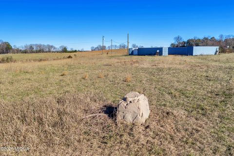 1020 Kendall Road Yatesville GA 31097