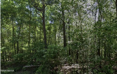 0 Howard Road Roberta GA 31078