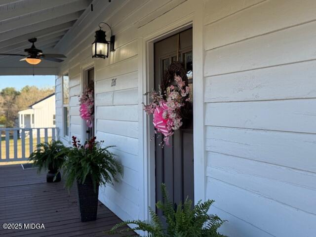 226 Hydrolia Street