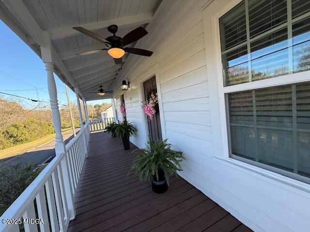 226 Hydrolia Street