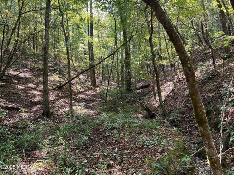 00 White Graves Road Chatsworth GA 30705
