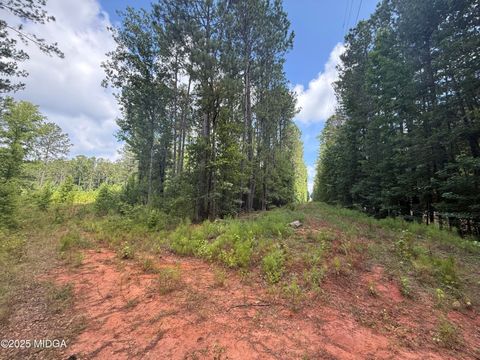 14522 Highway 87 Forsyth GA 31029