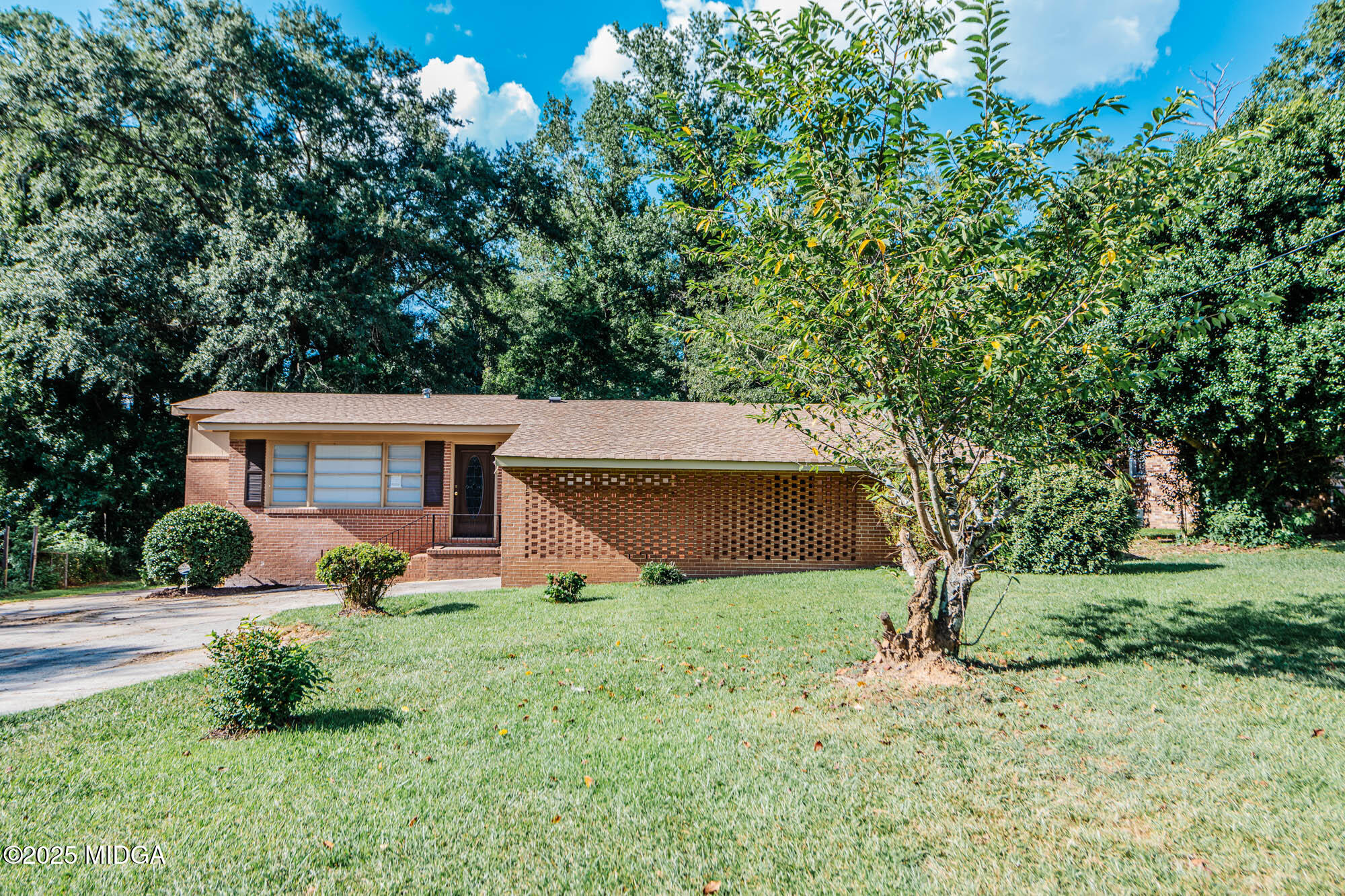 2248 Ollie Drive