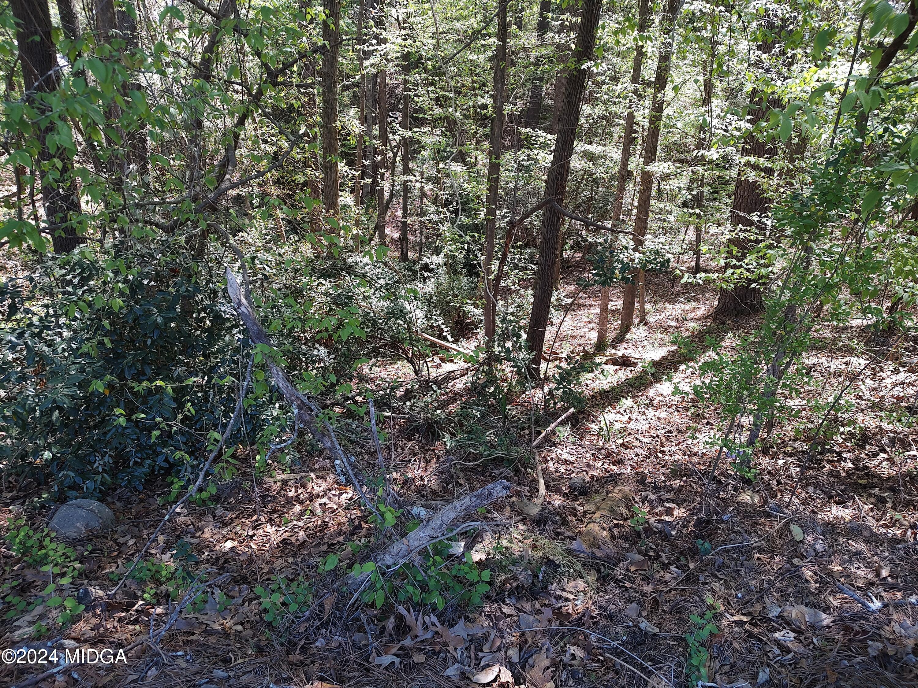 1971 Long Ridge Drive