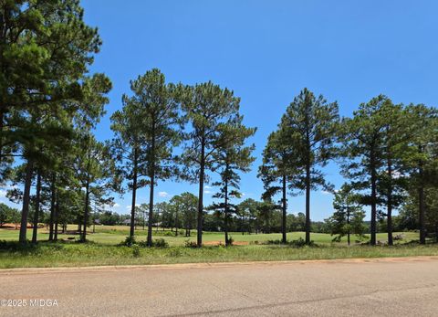 Lot 10 11 Camden Way Hawkinsville GA 31036