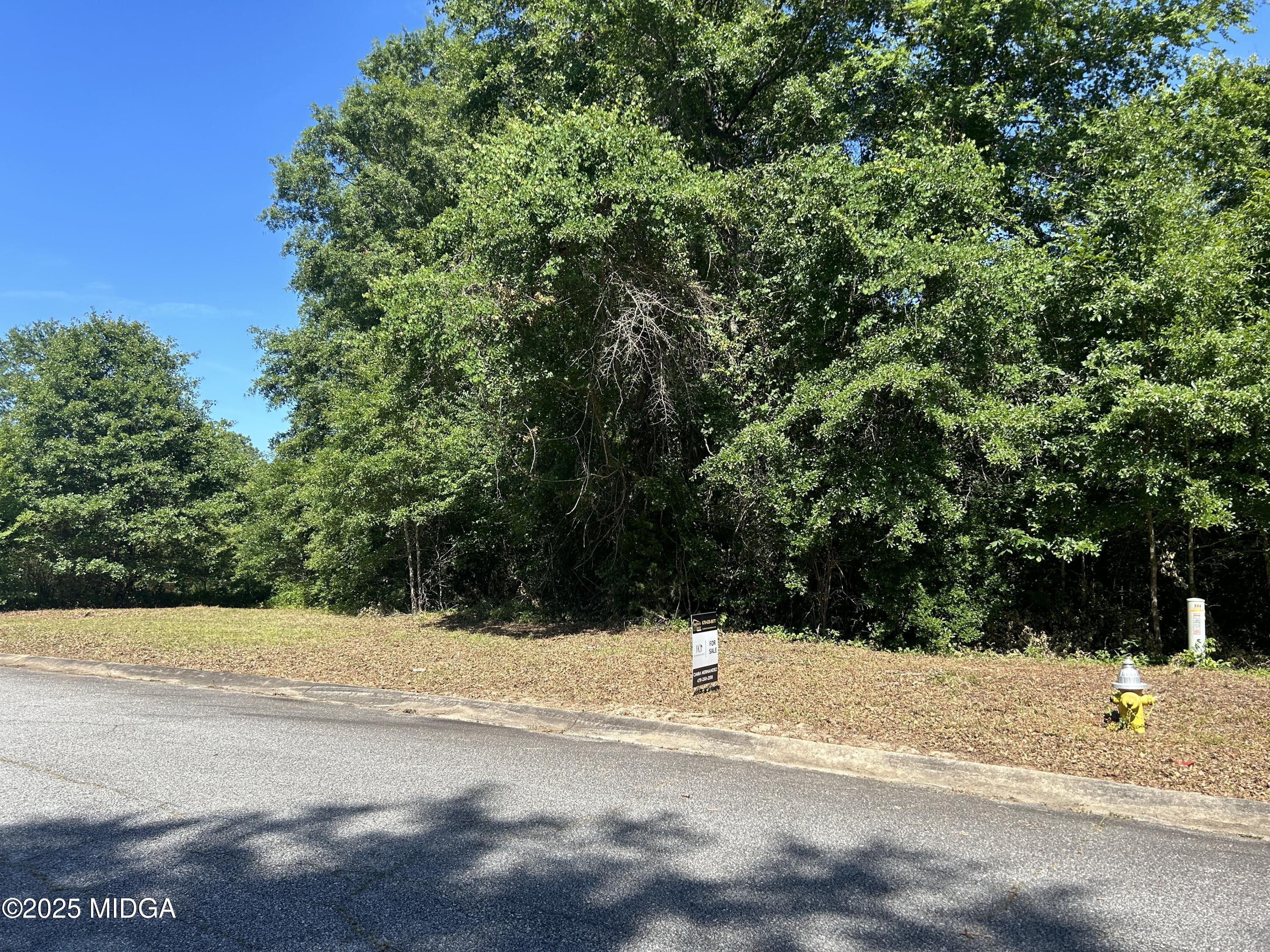 234 Alview Drive