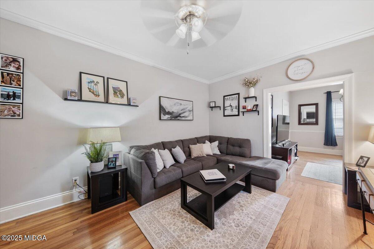 239 Belvedere Drive