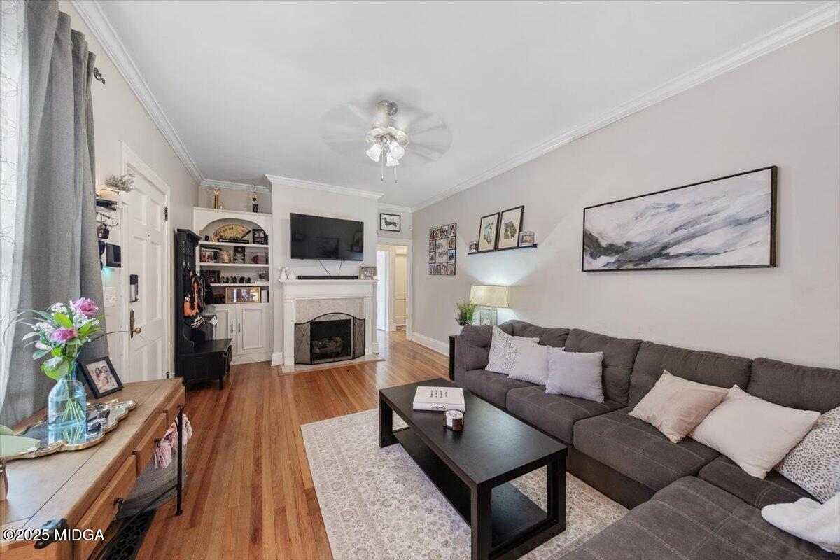 239 Belvedere Drive