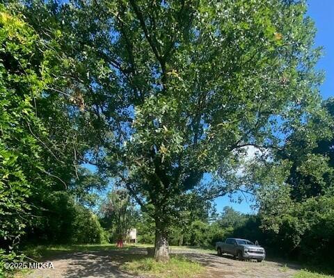 590 Wimbish Road