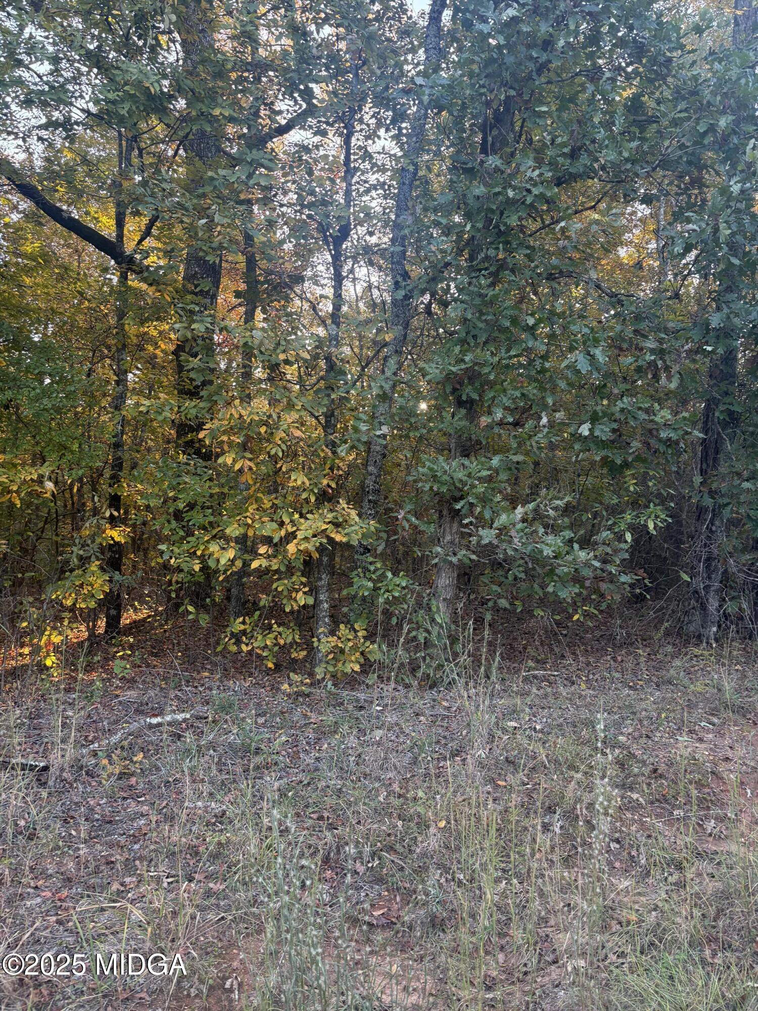 105 Magnolia Drive NW