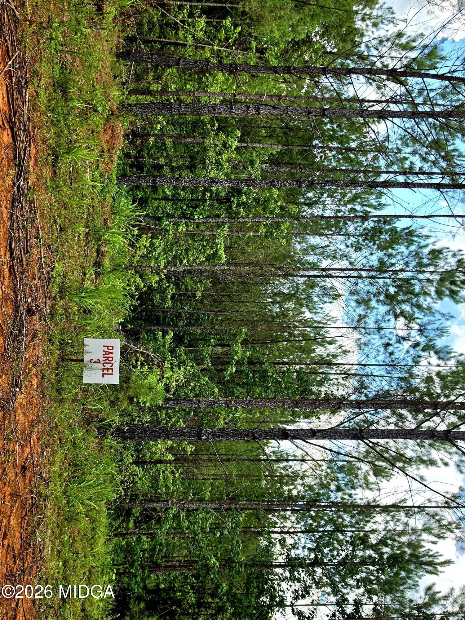 0 Highway 42 S Lot 8