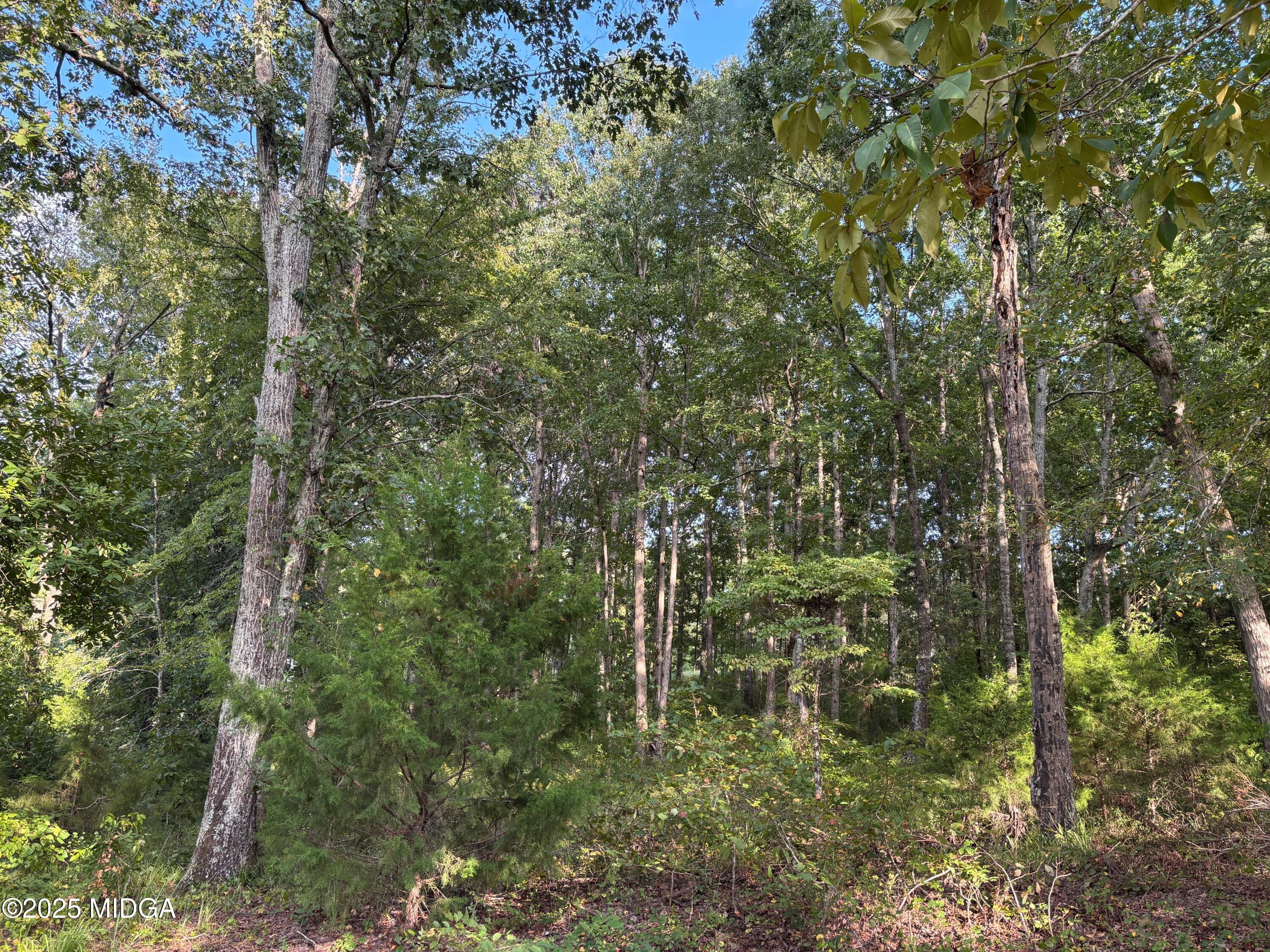 238 Hidden Lakes Drive