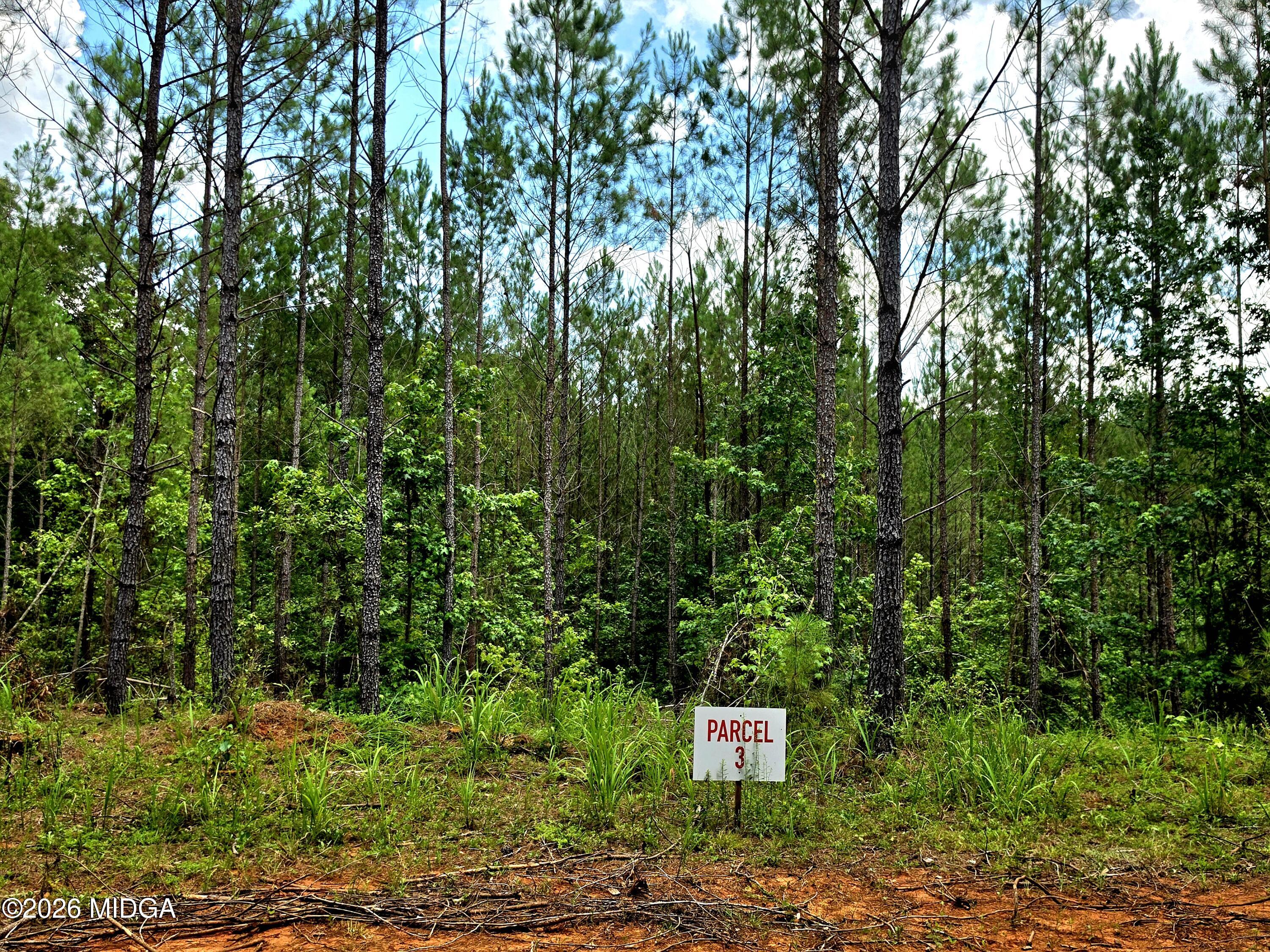 0 Highway 42 S Lot 3