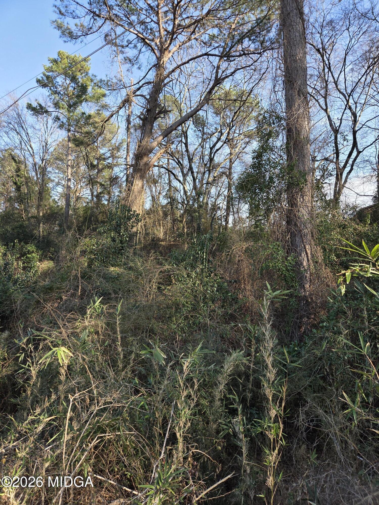 1987 Long Ridge Drive