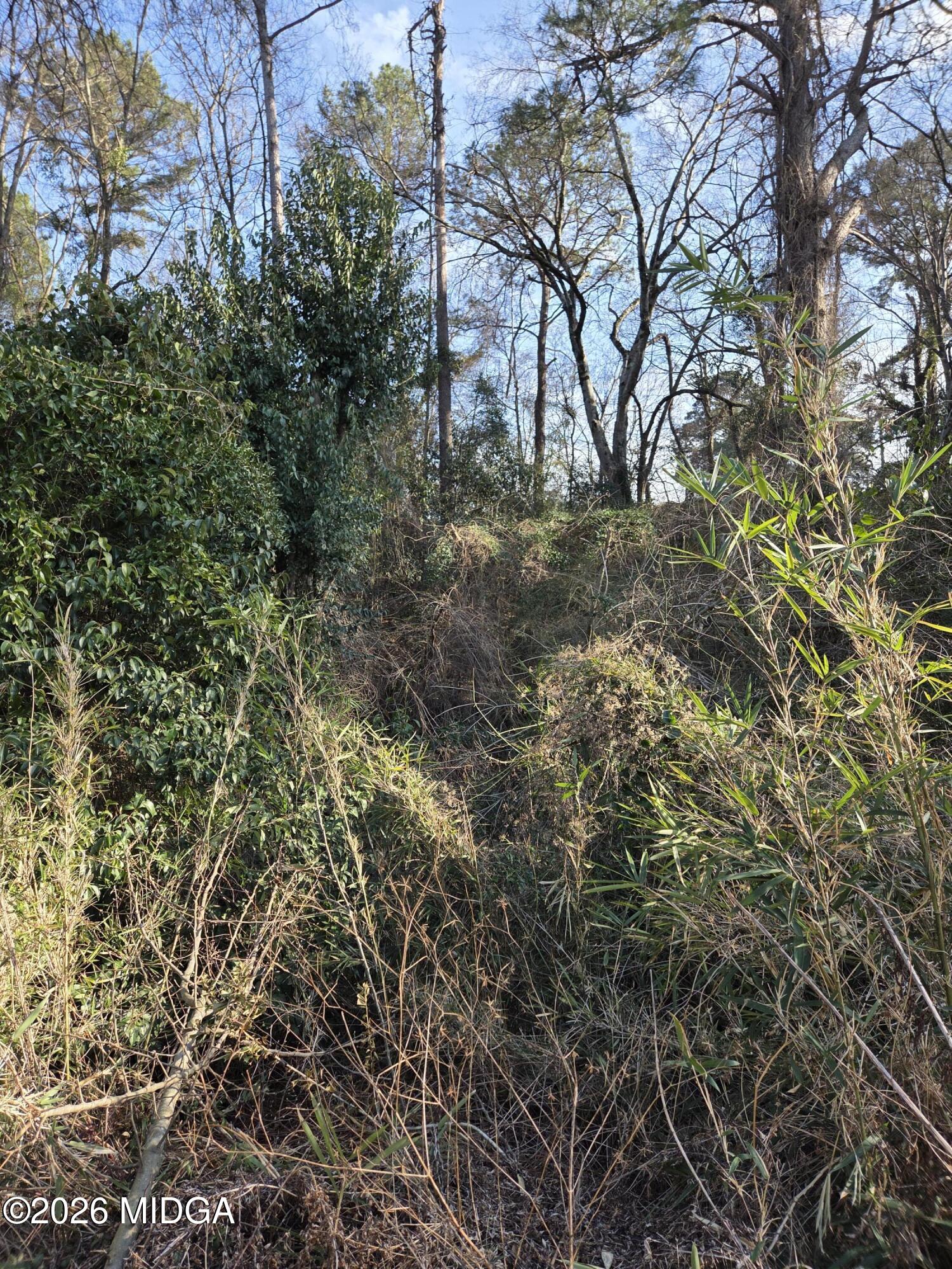 1987 Long Ridge Drive