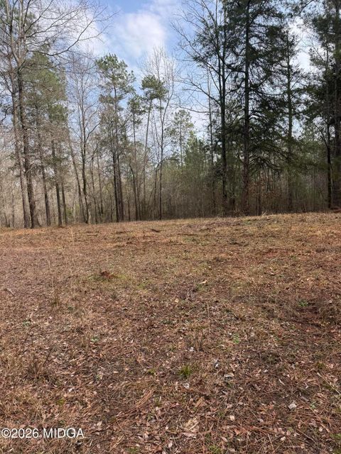 0 Highway 87 Juliette GA 31046