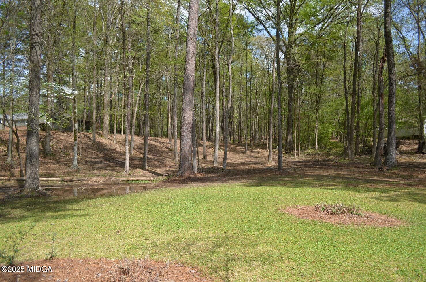 1539 Tobesofkee Point Drive
