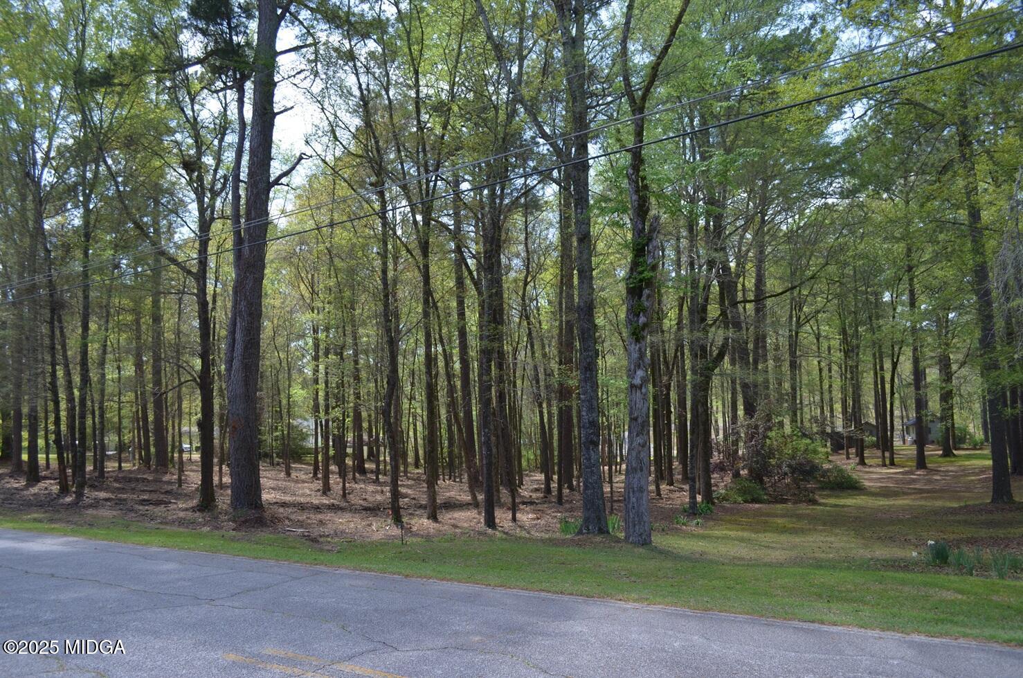 1539 Tobesofkee Point Drive
