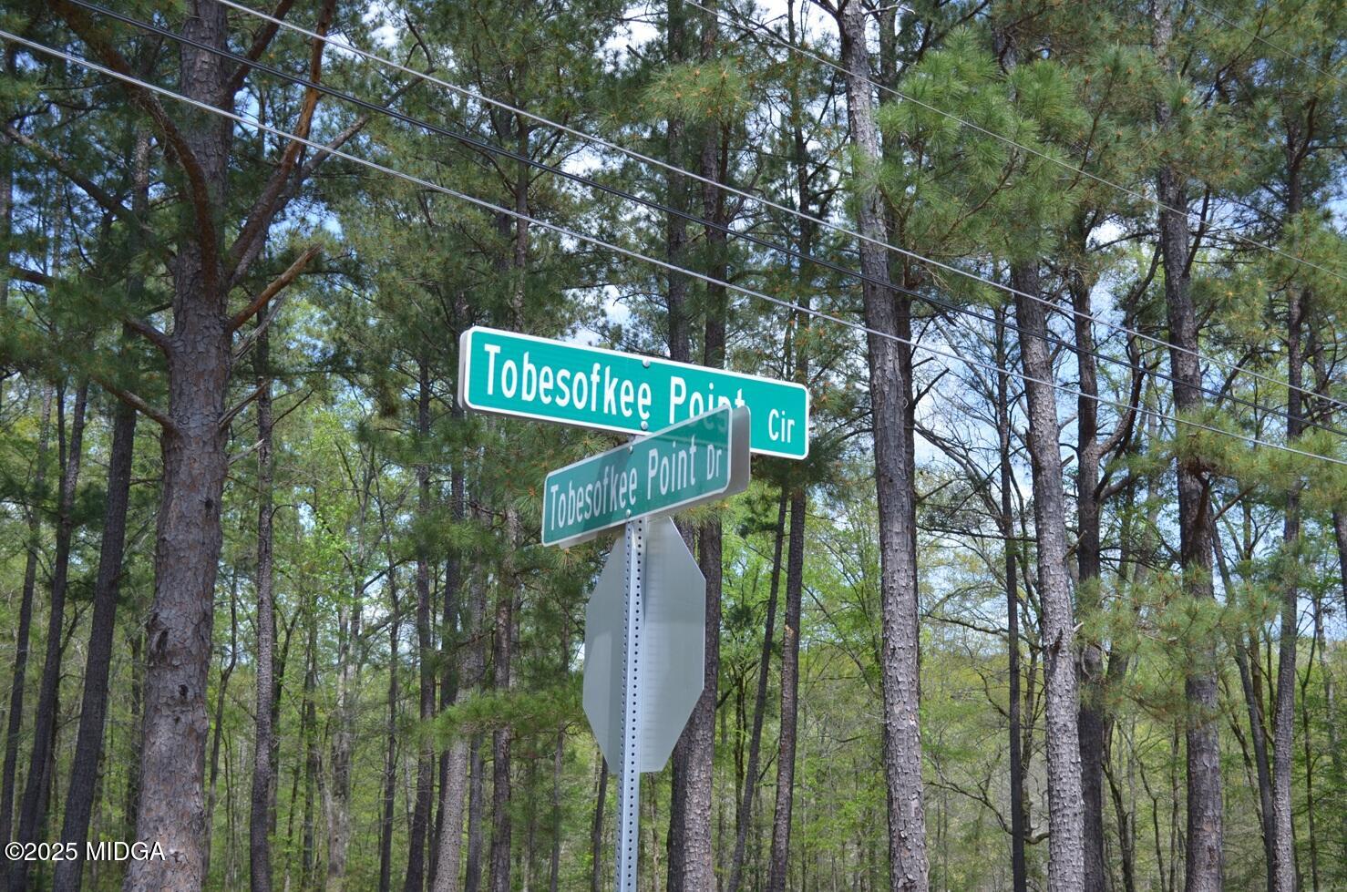 1539 Tobesofkee Point Drive