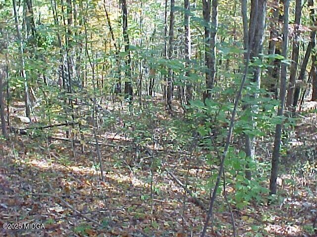 2255 Nick-A Jack Road