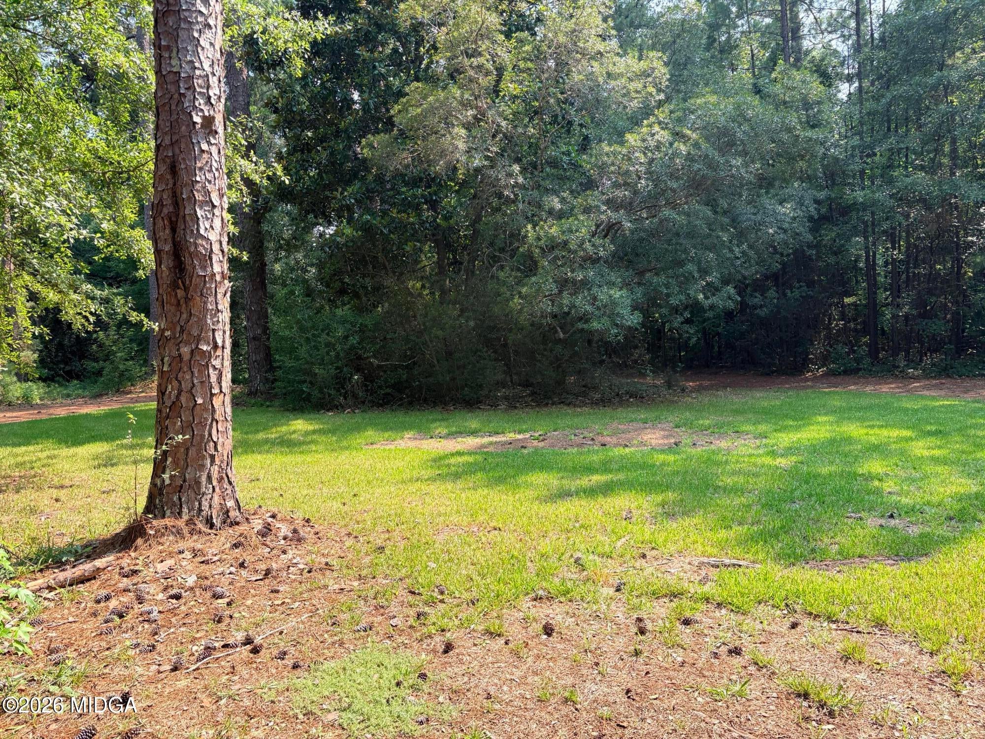 6225 Forsyth Road