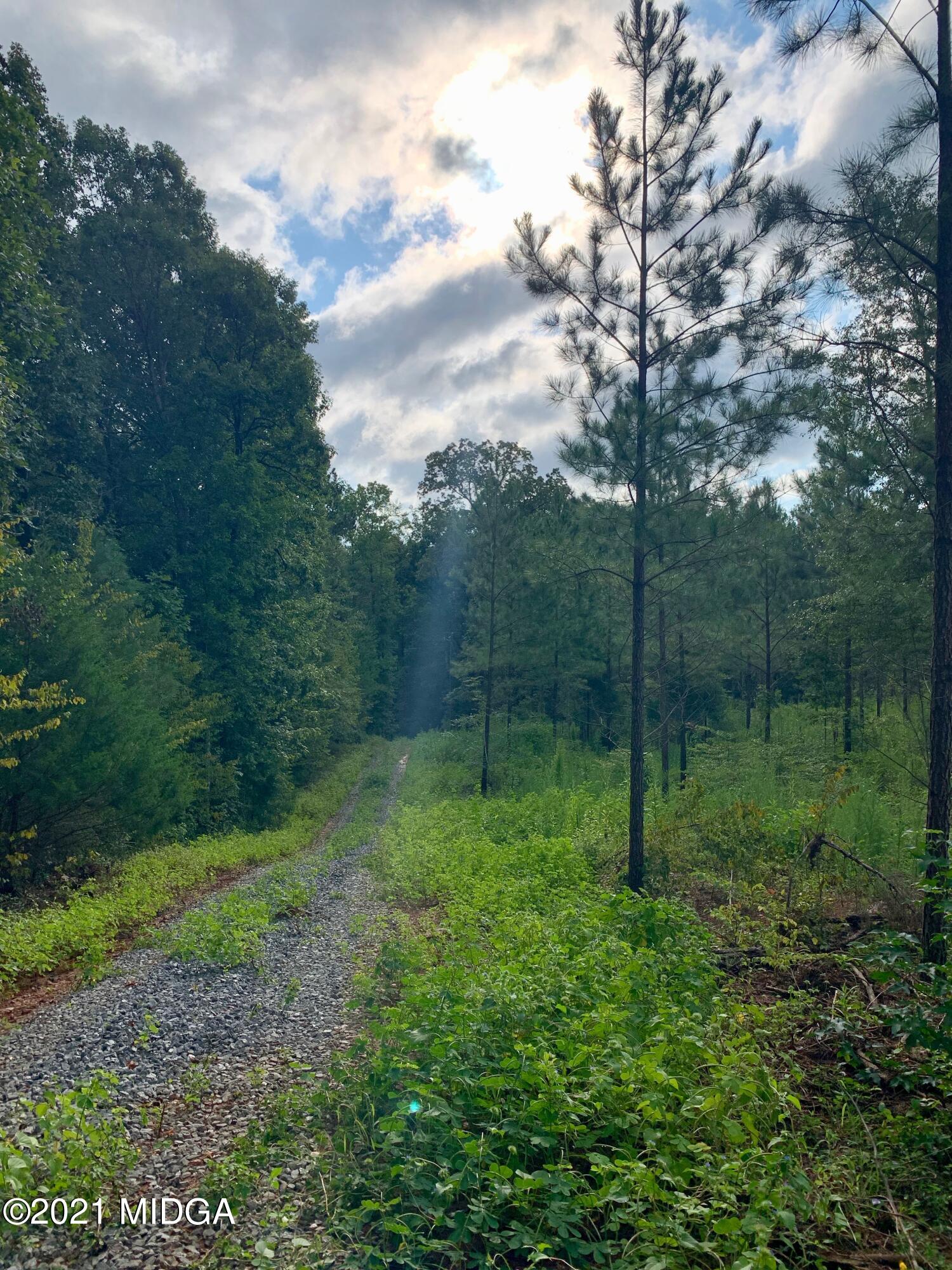0 Montpelier Springs Road 13