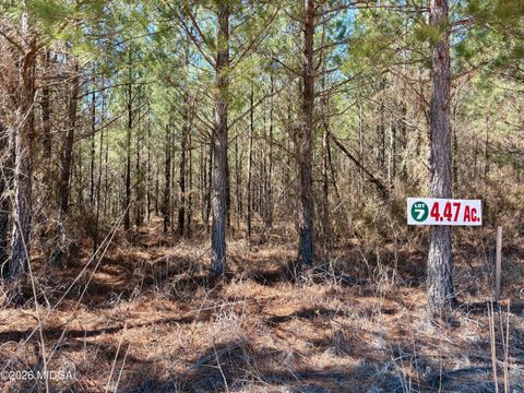 0 Rock Springs Road Glenwood GA 30428