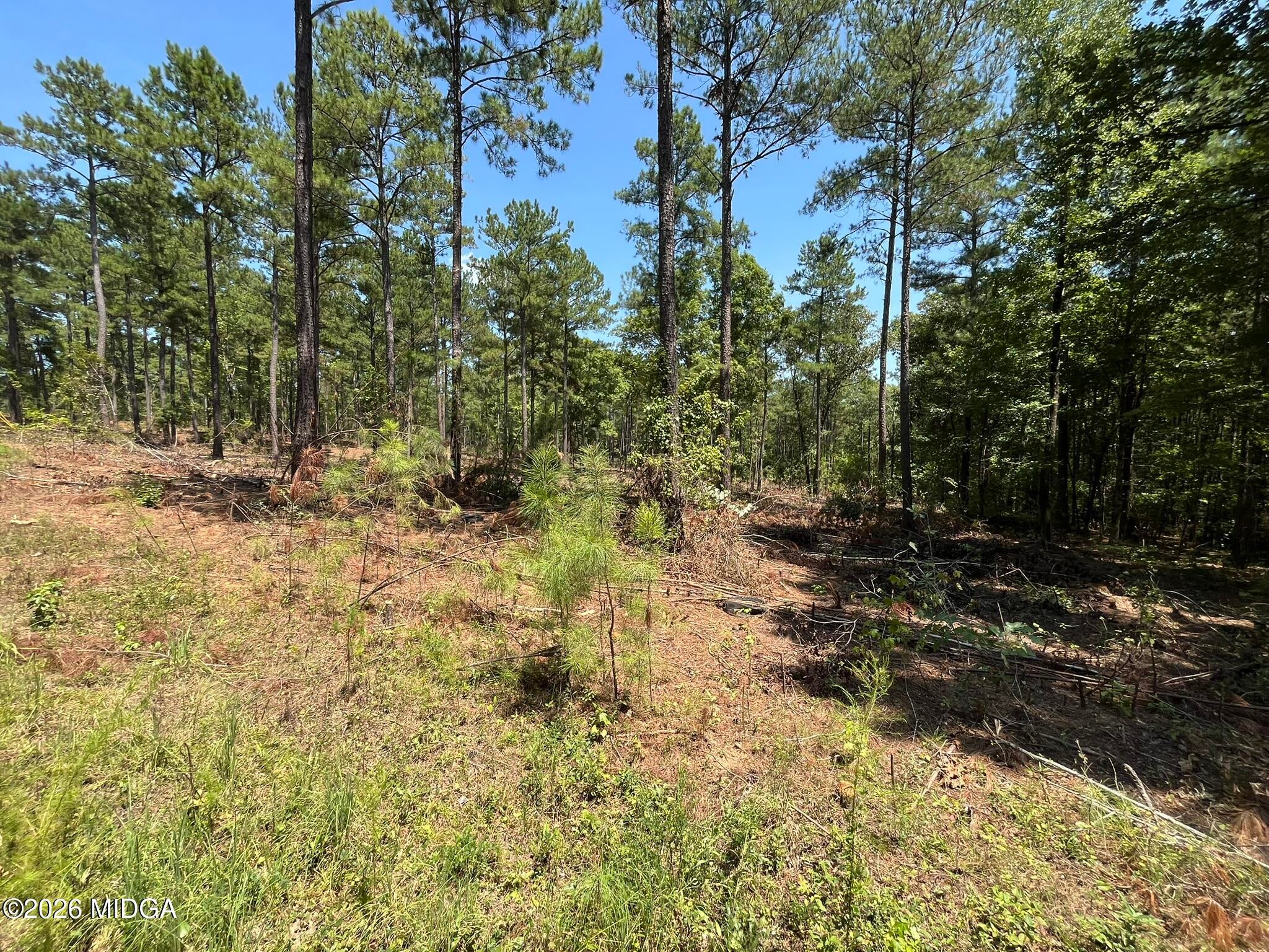 Lot 21 Gordon Road