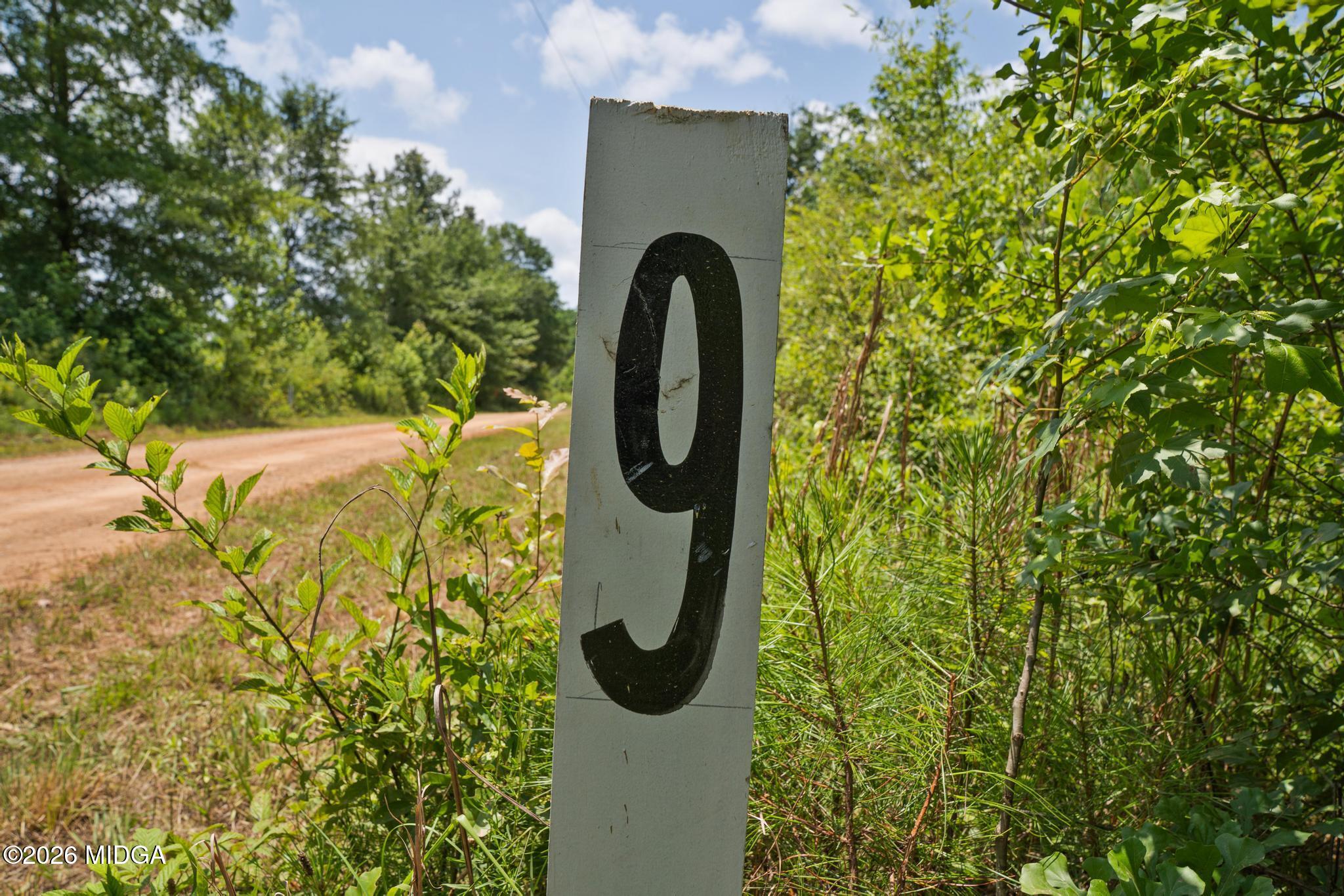 79 Askin Place